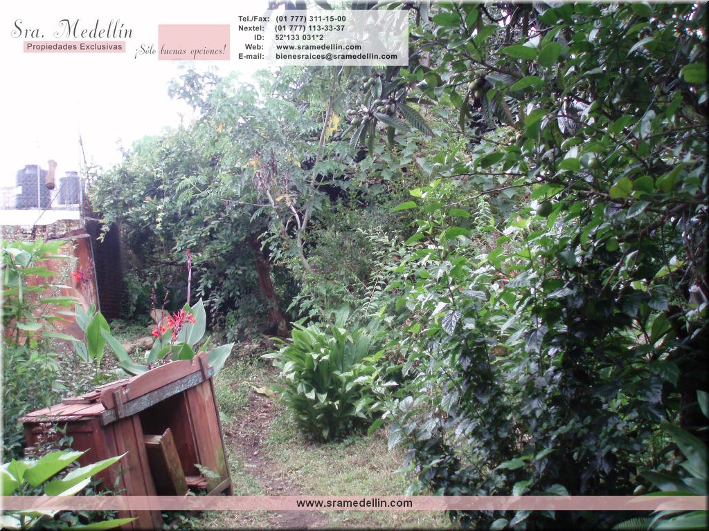 Sra. Medellin.com