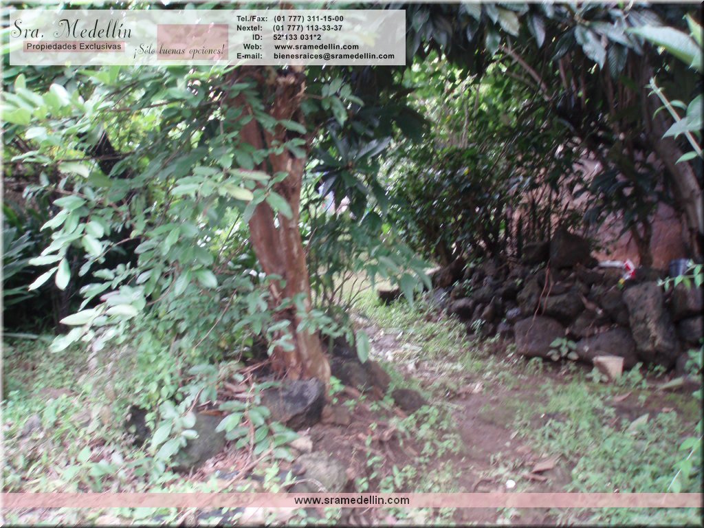 Sra. Medellin.com
