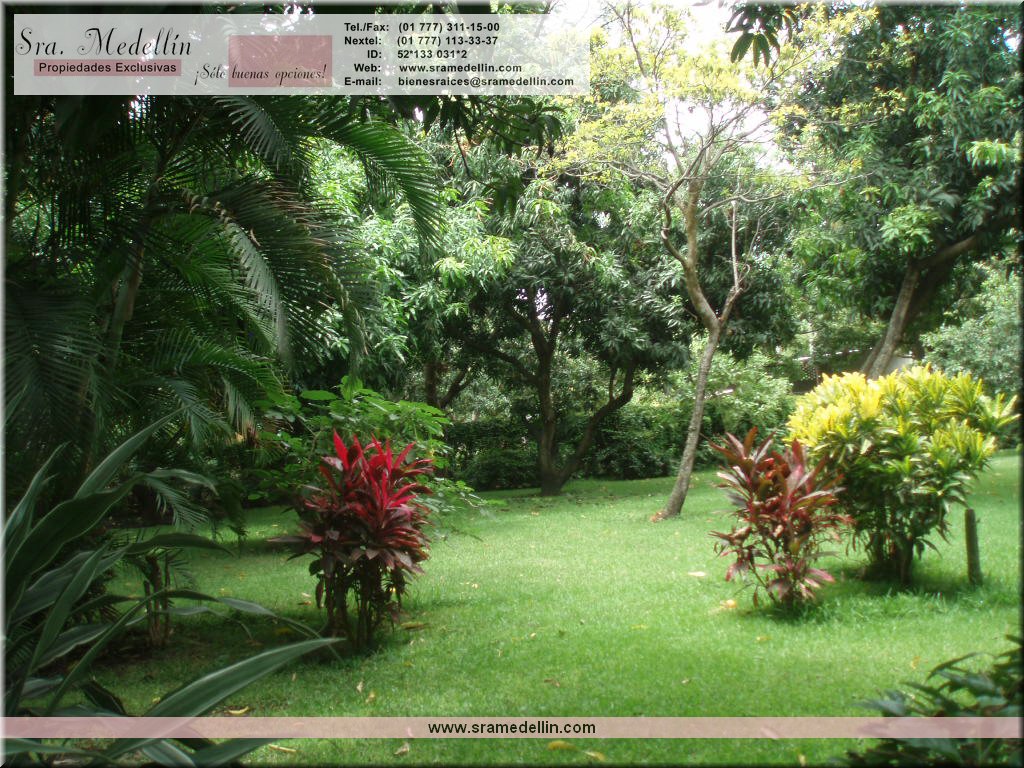 Sra. Medellin.com