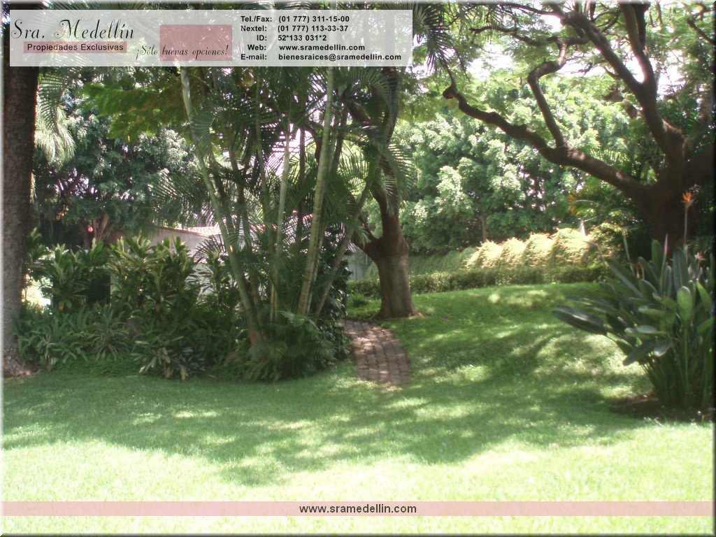 Sra. Medellin.com