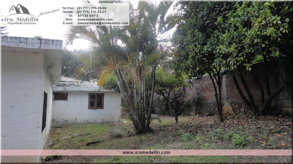 Sra. Medellin.com