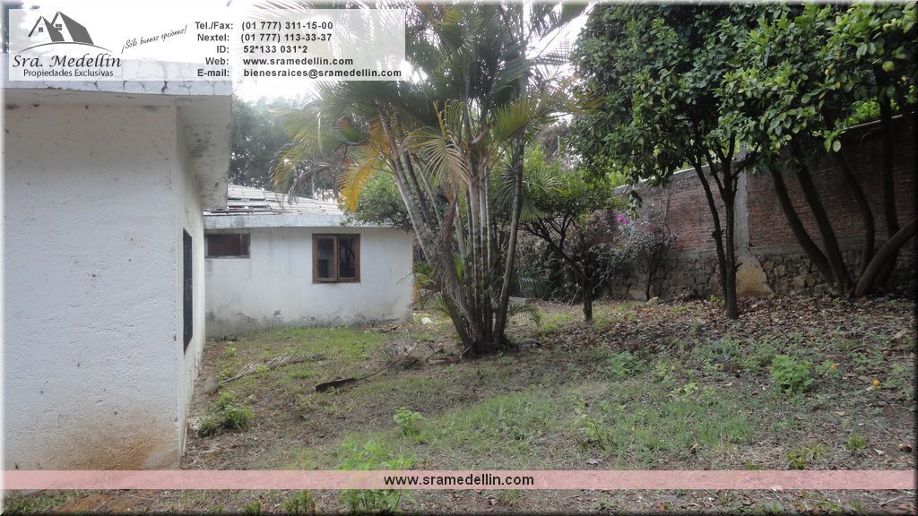 Sra. Medellin.com