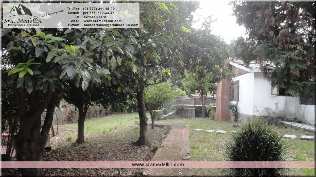 Sra. Medellin.com