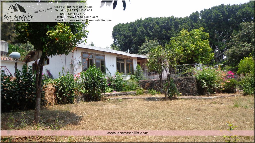 Sra. Medellin.com