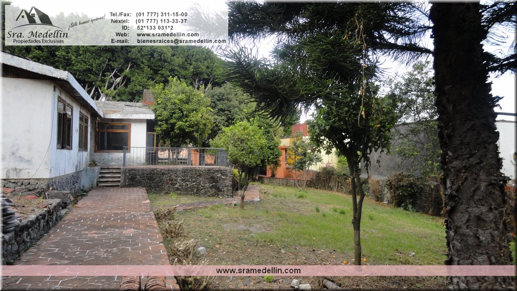 Sra. Medellin.com