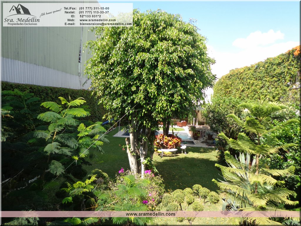 Sra. Medellin.com