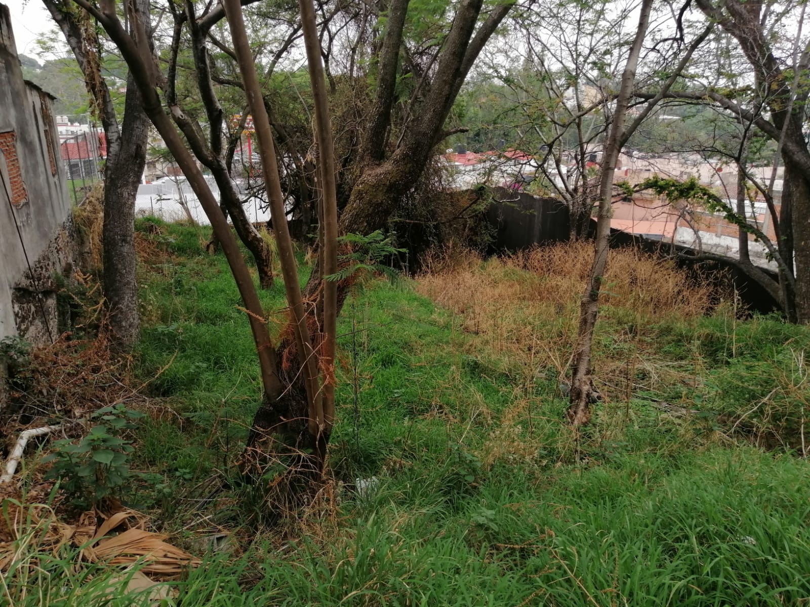 Sra. Medellin.com