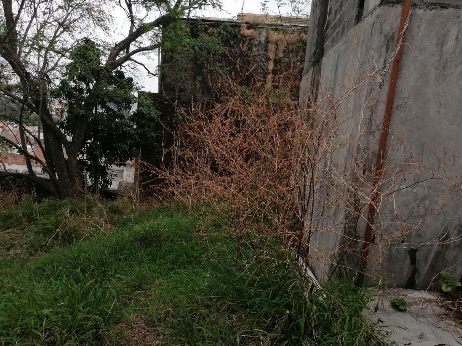 Sra. Medellin.com