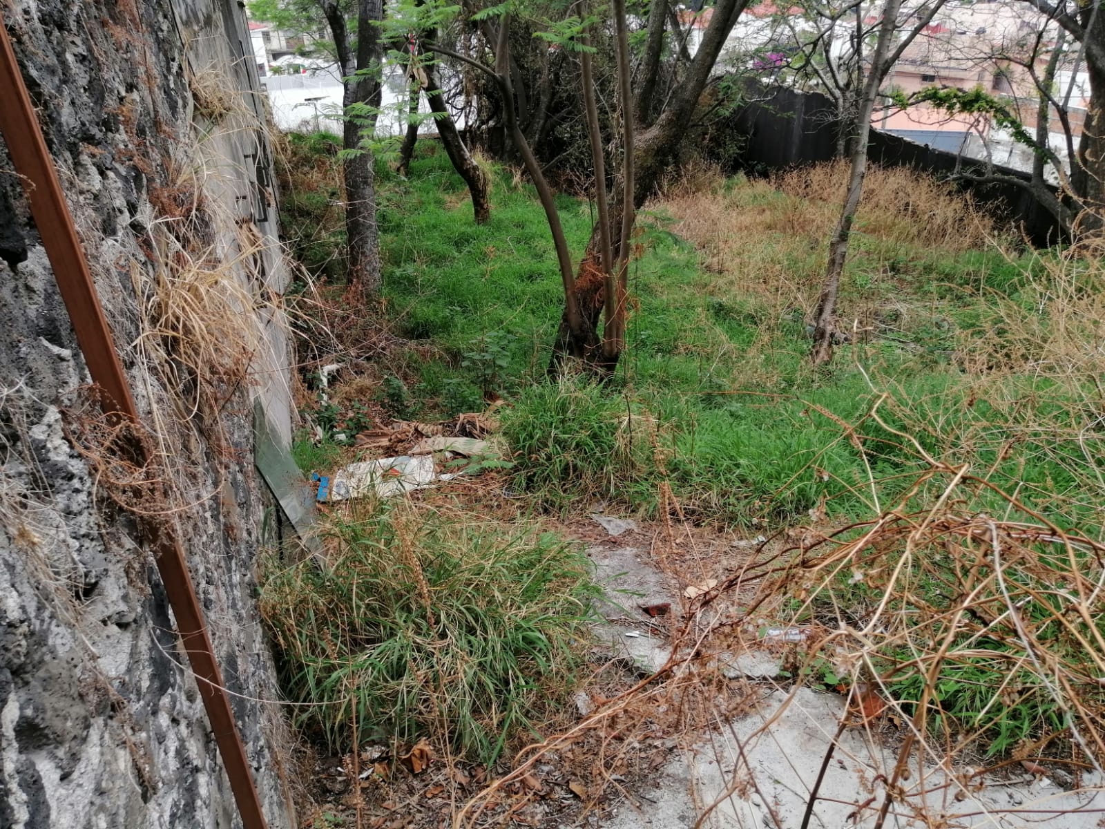 Sra. Medellin.com