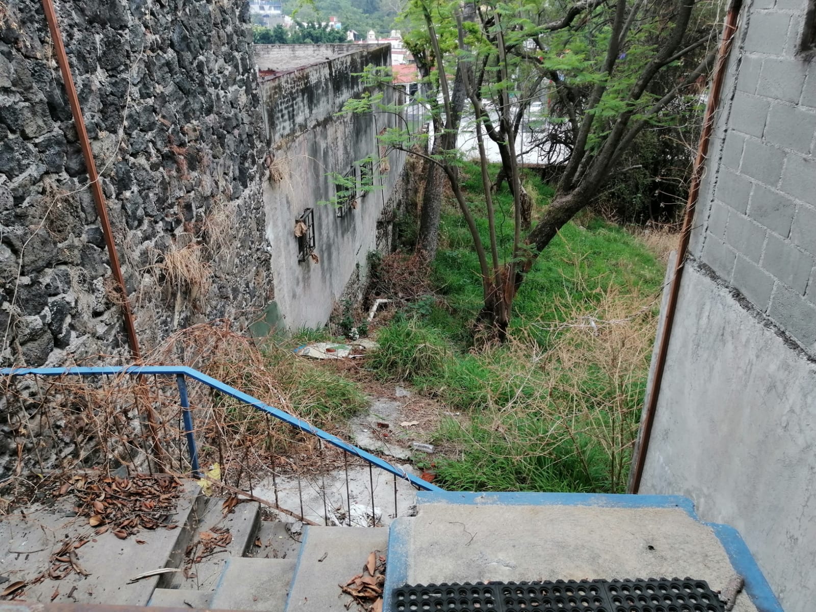 Sra. Medellin.com