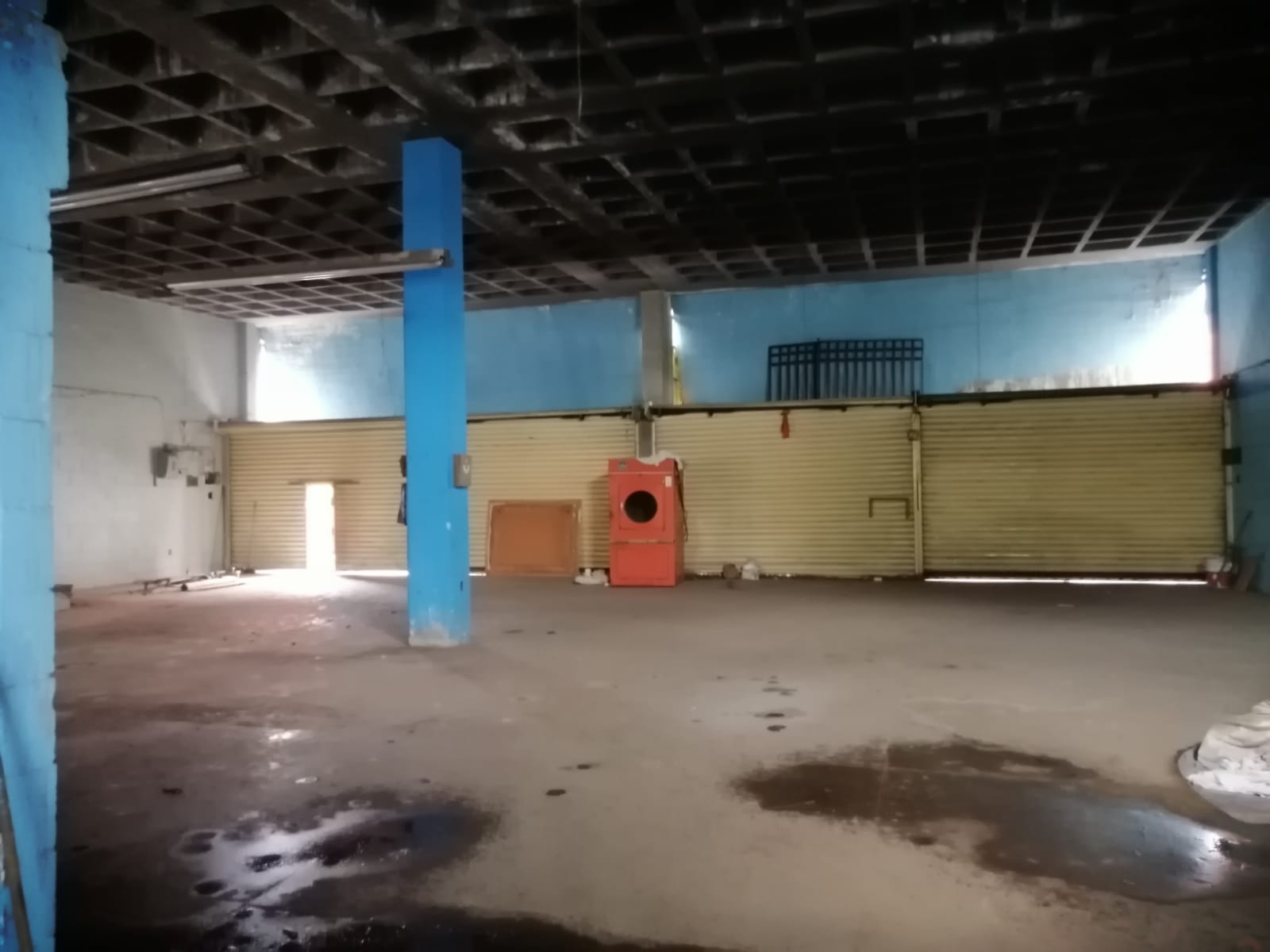 Sra. Medellin.com