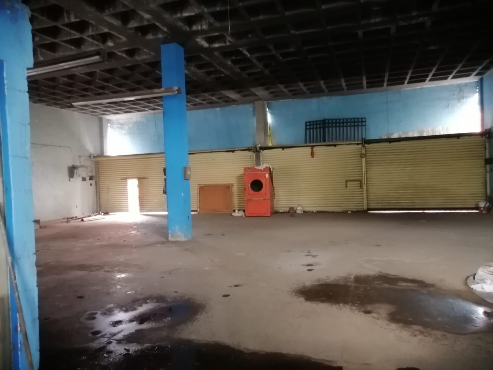 Sra. Medellin.com