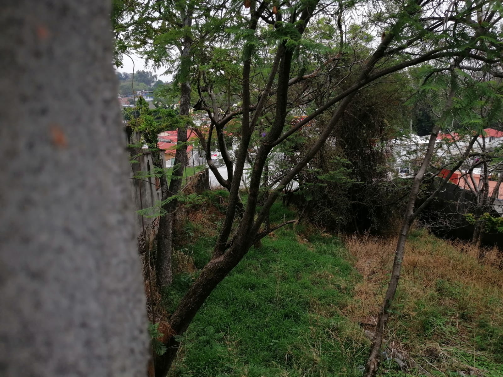 Sra. Medellin.com