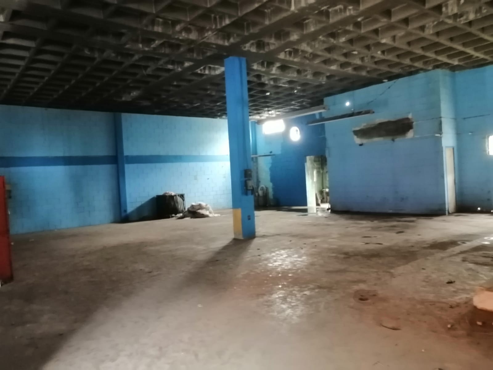 Sra. Medellin.com