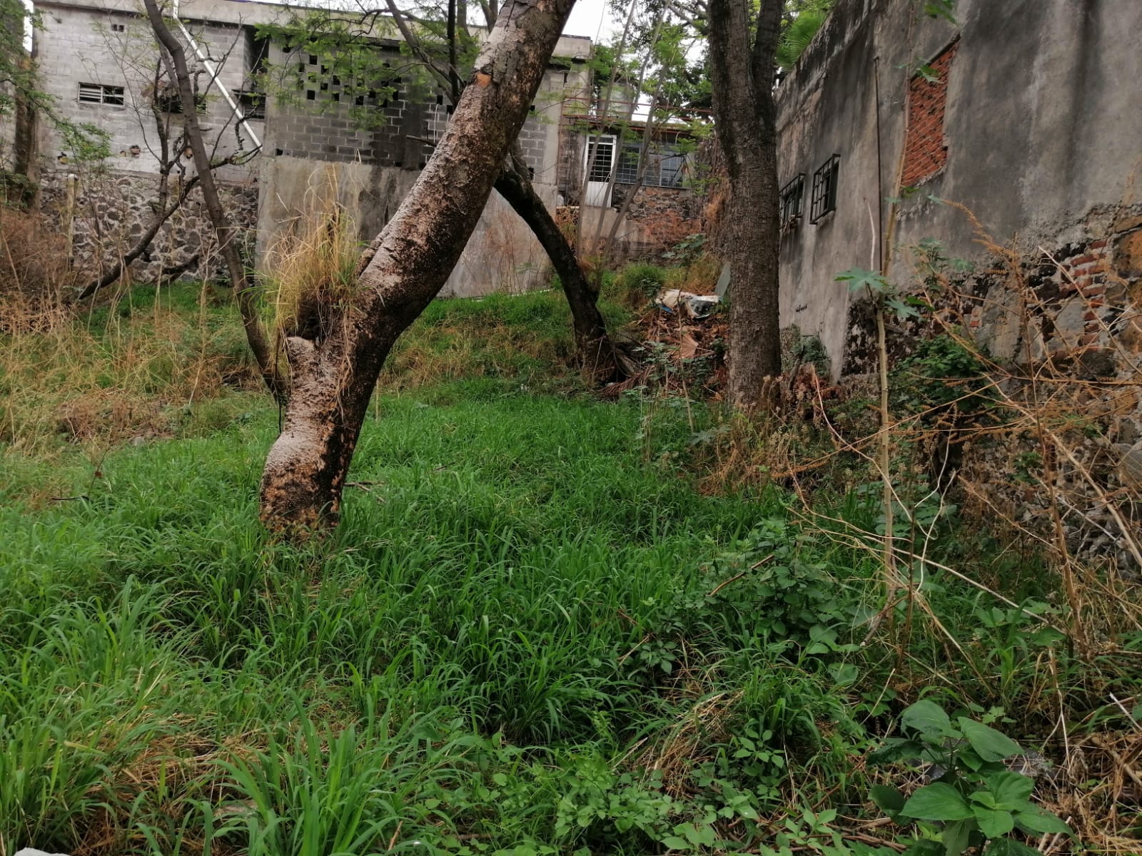 Sra. Medellin.com