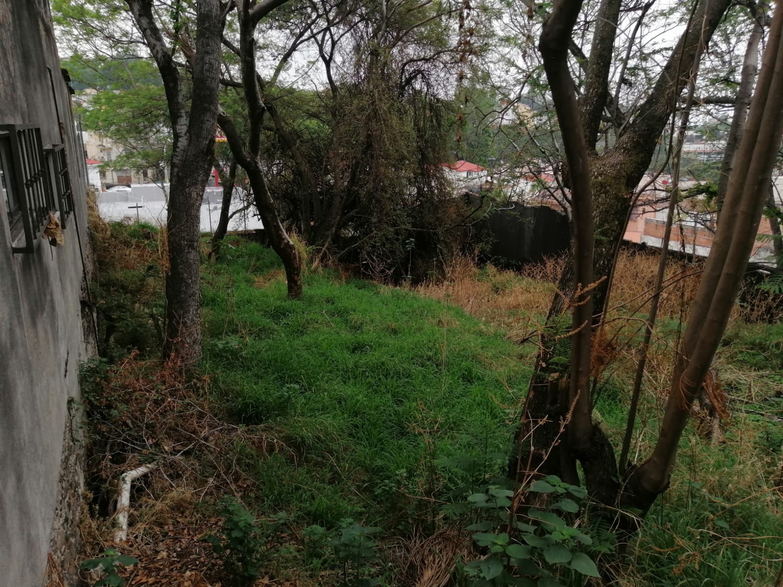 Sra. Medellin.com