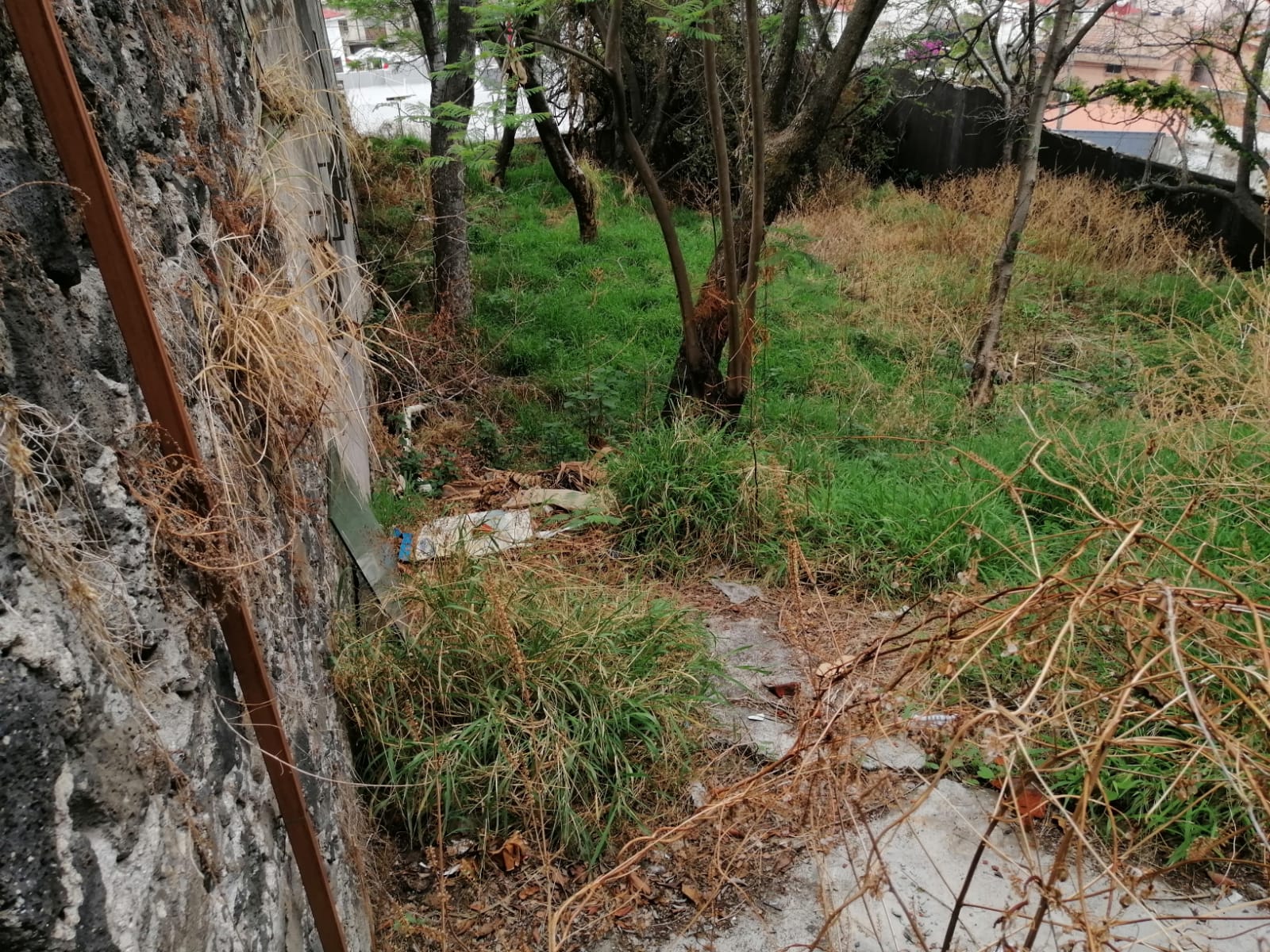 Sra. Medellin.com