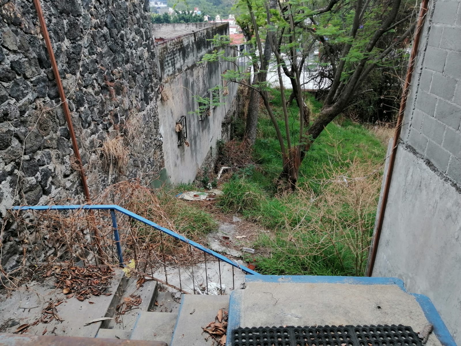 Sra. Medellin.com