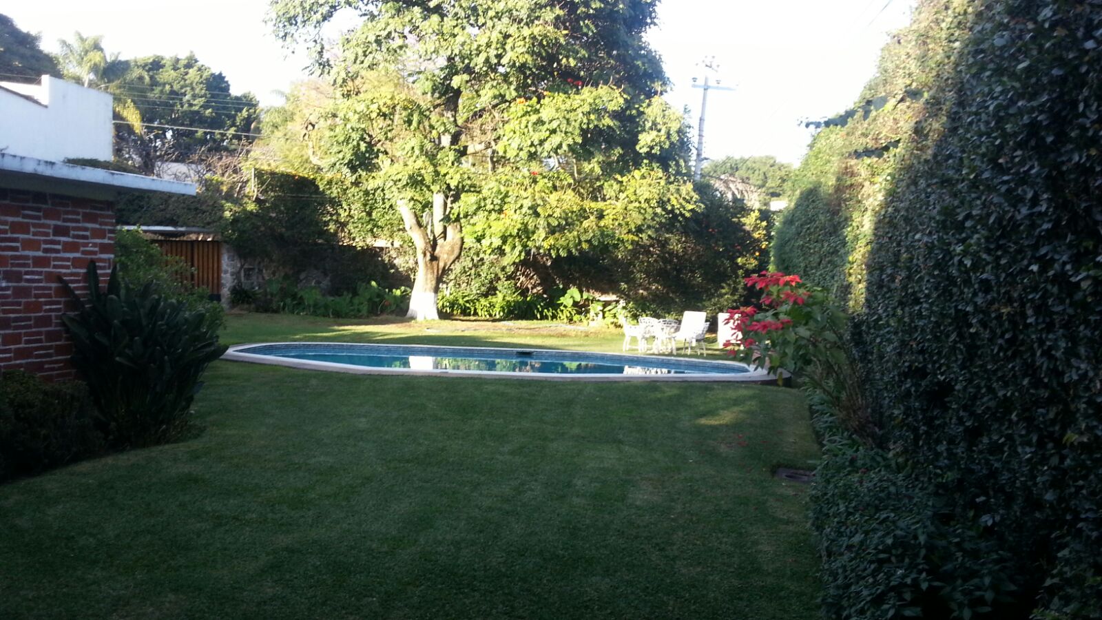 Sra. Medellin.com