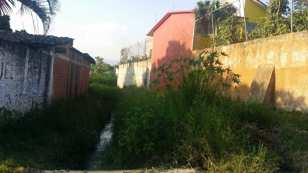 Sra. Medellin.com