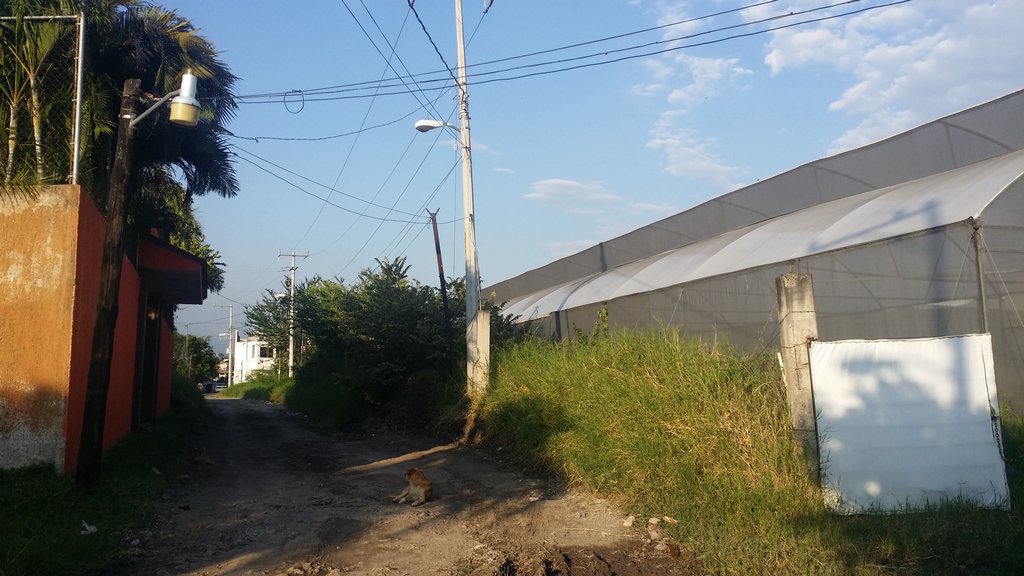 Sra. Medellin.com
