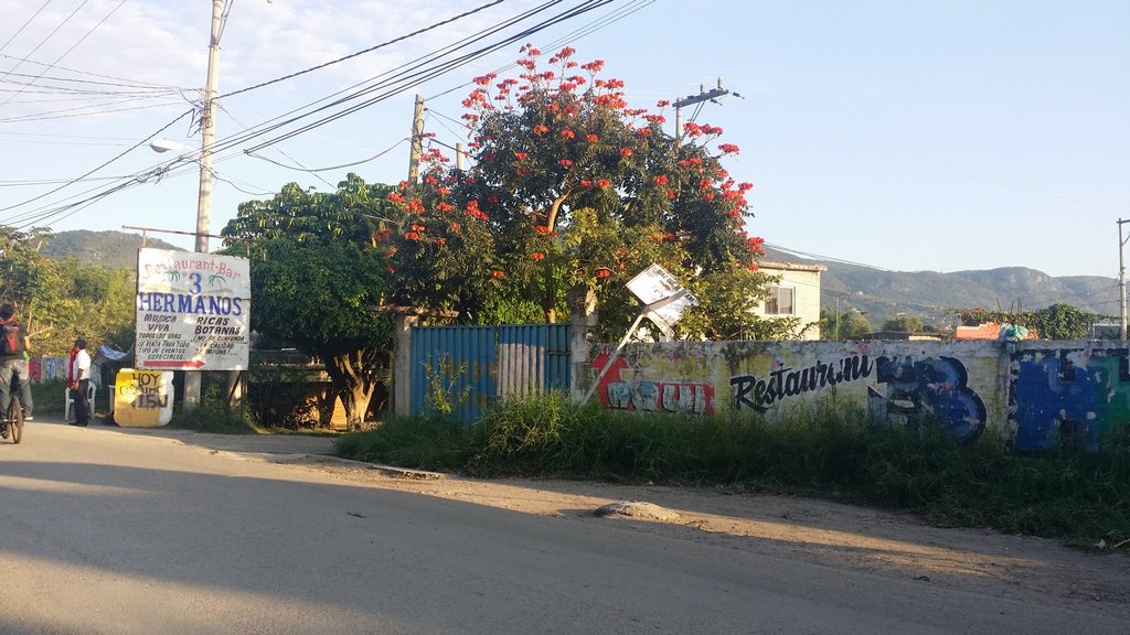 Sra. Medellin.com