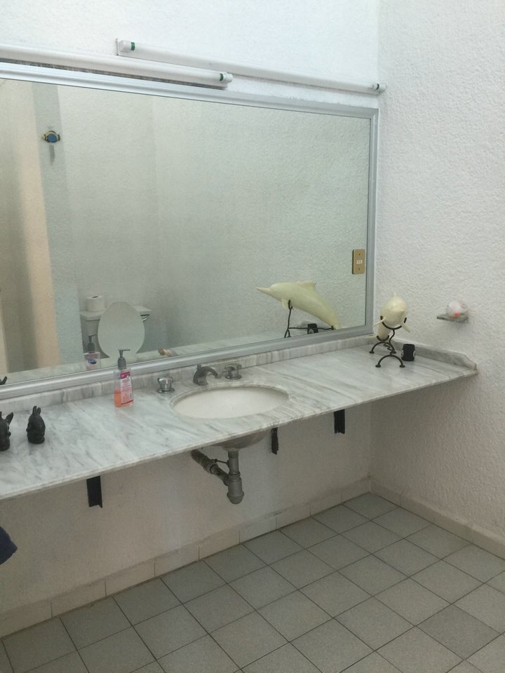 Sra. Medellin.com