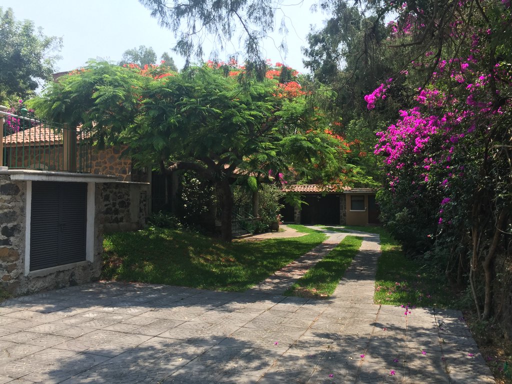 Sra. Medellin.com