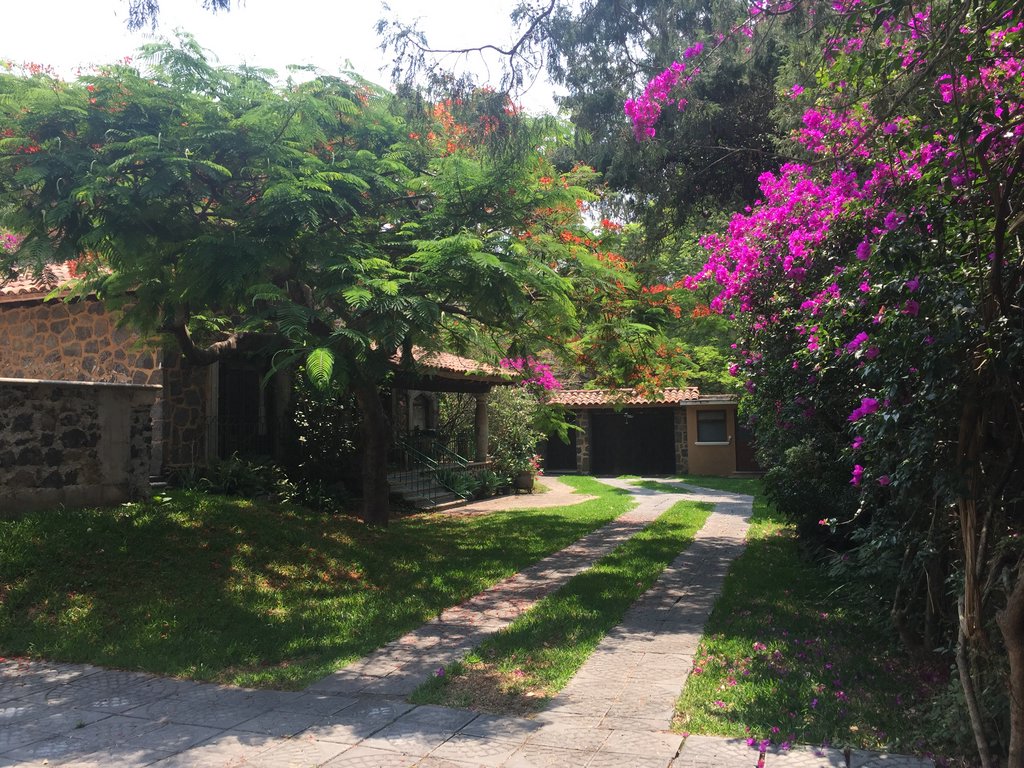 Sra. Medellin.com