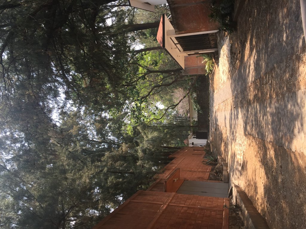 Sra. Medellin.com