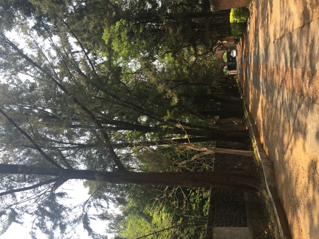Sra. Medellin.com