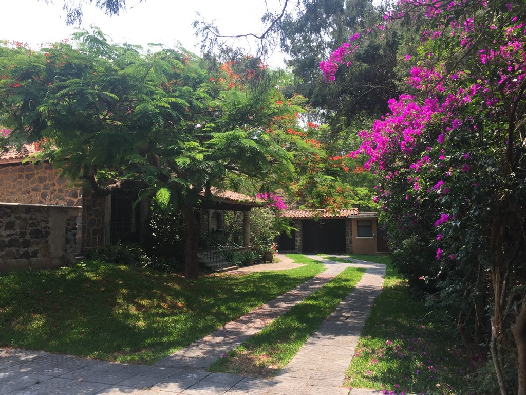 Sra. Medellin.com