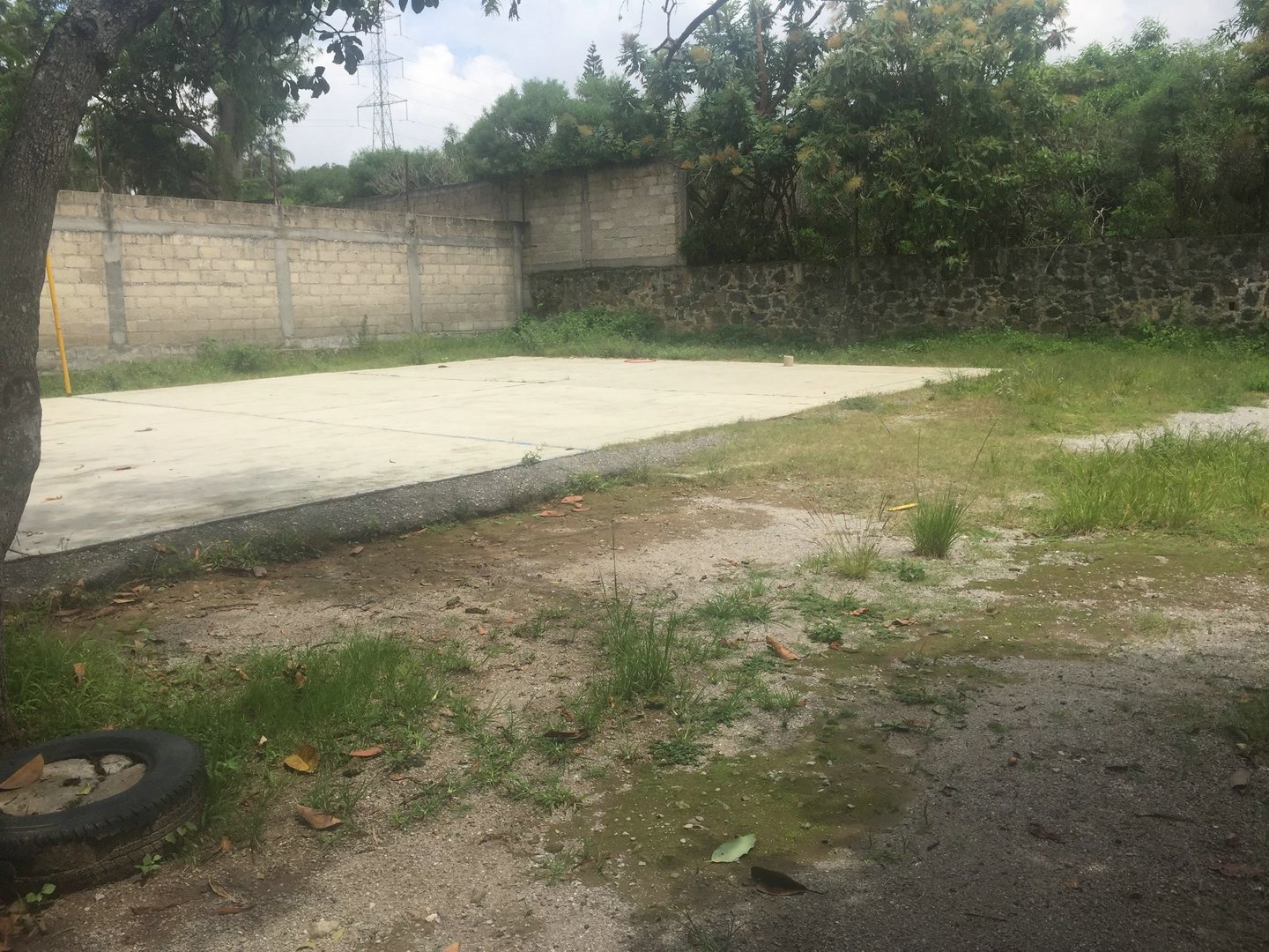 Sra. Medellin.com