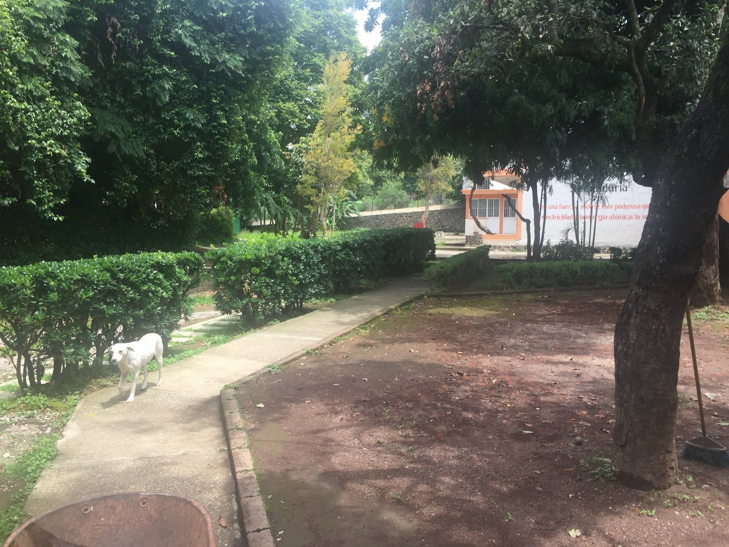 Sra. Medellin.com