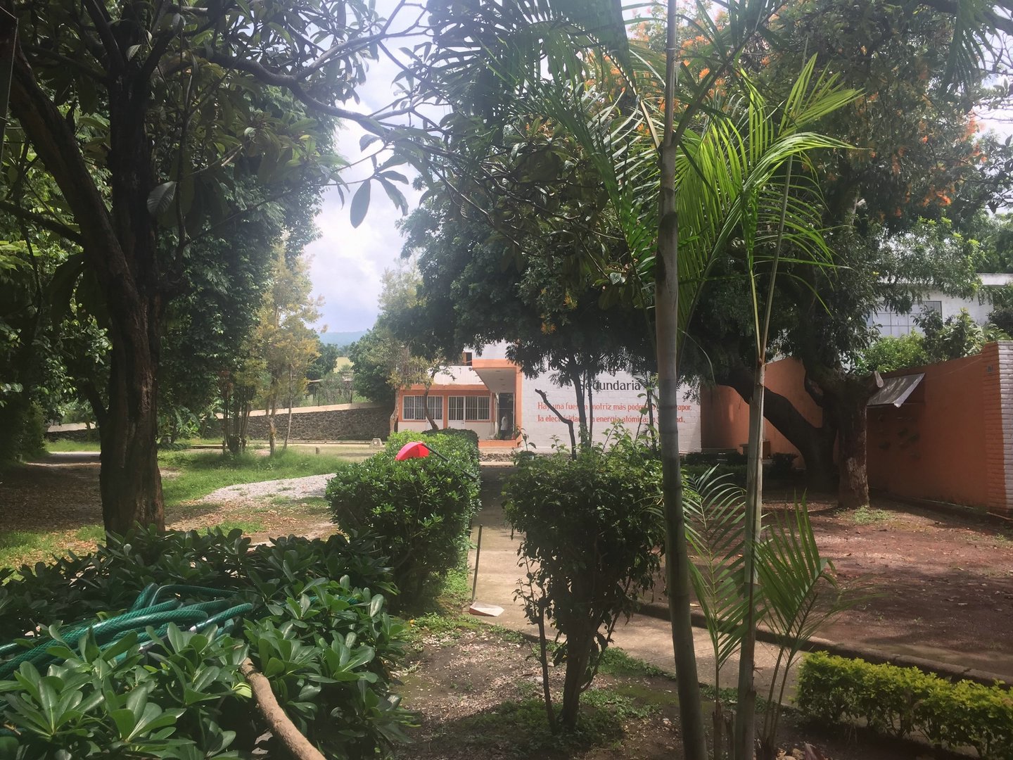 Sra. Medellin.com