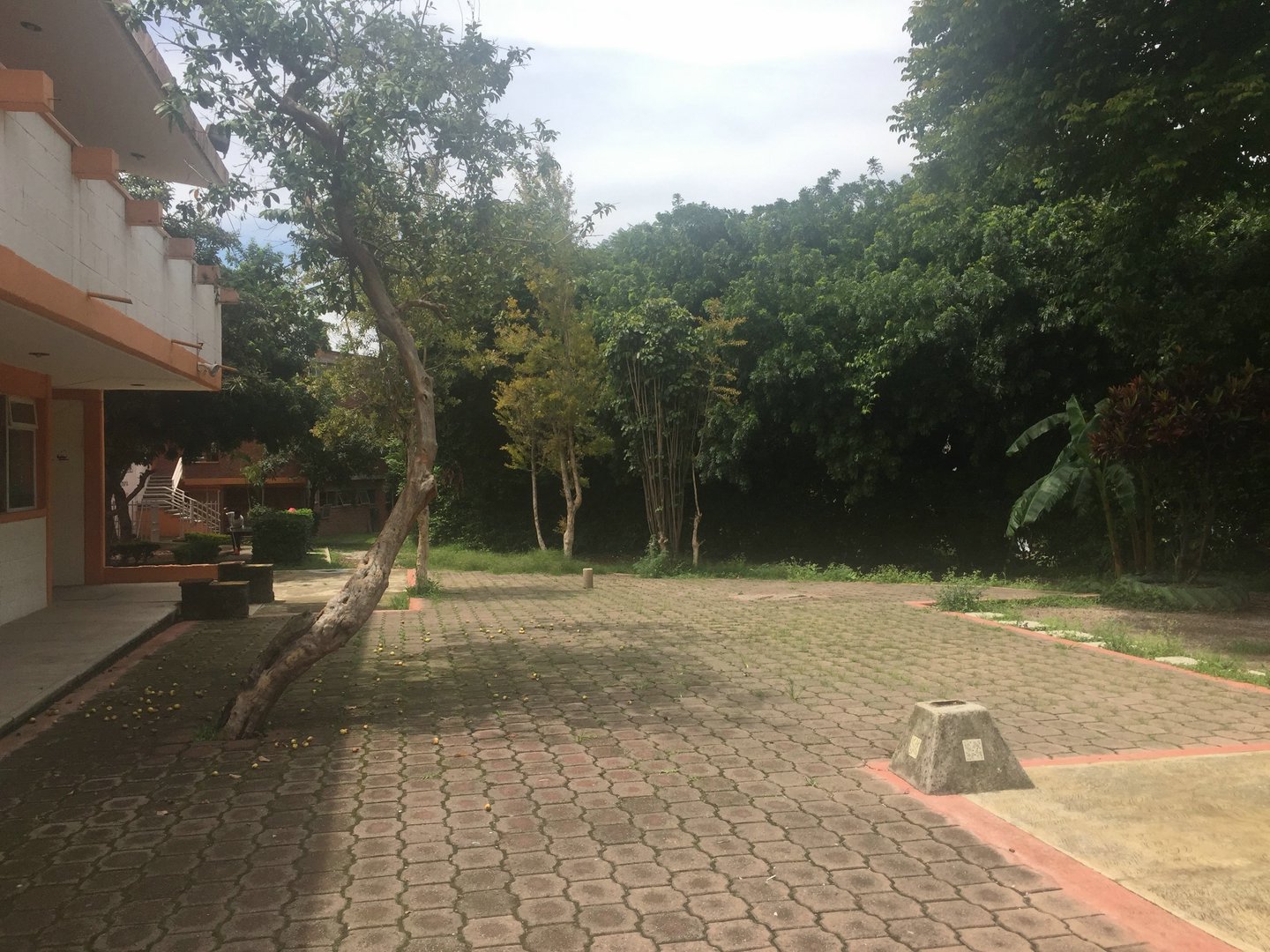 Sra. Medellin.com