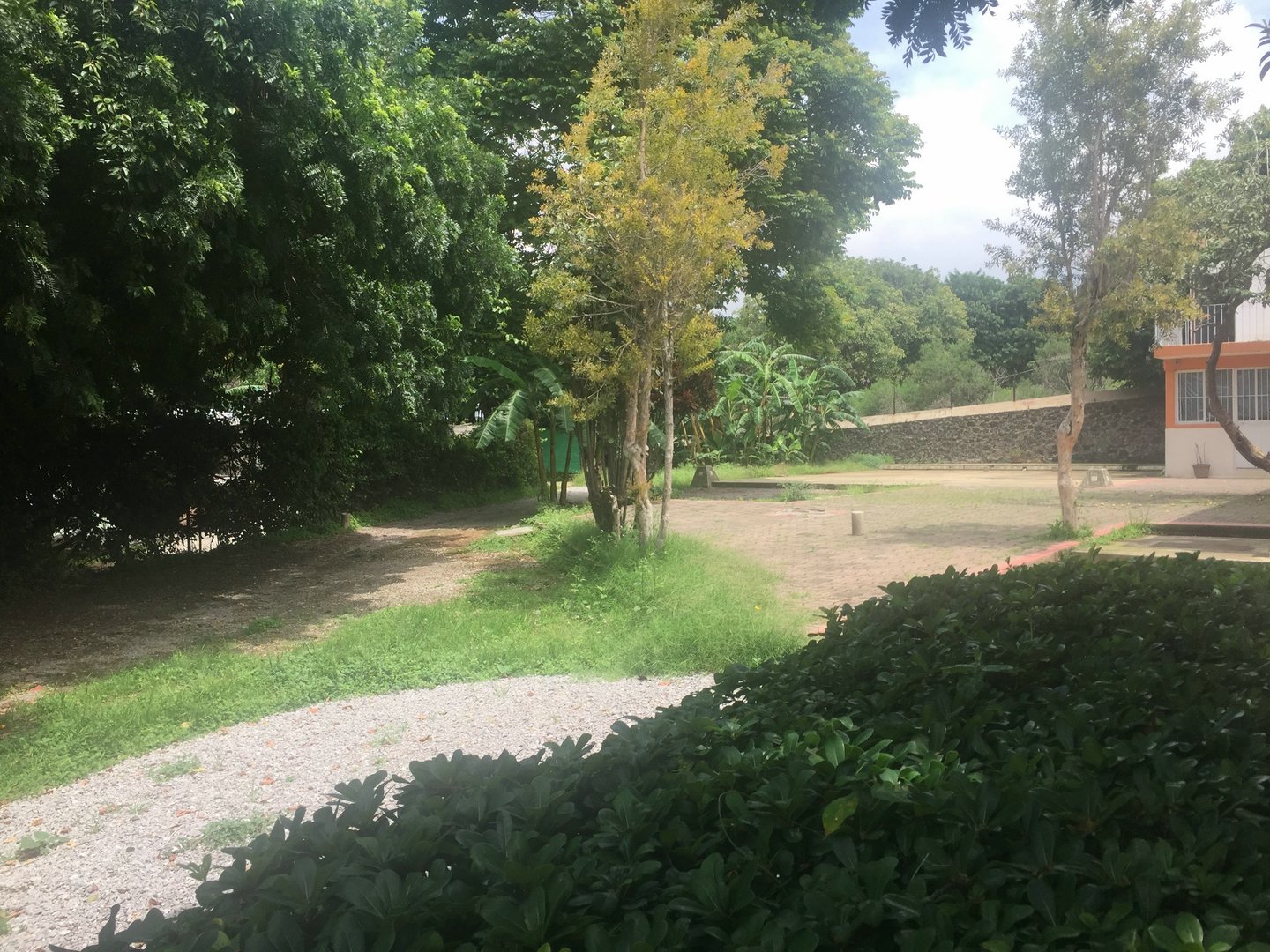 Sra. Medellin.com