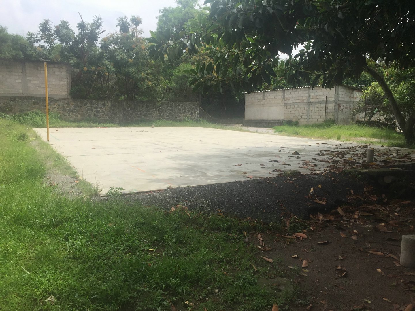 Sra. Medellin.com