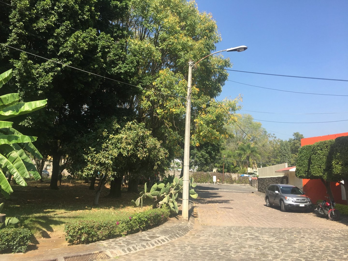 Sra. Medellin.com