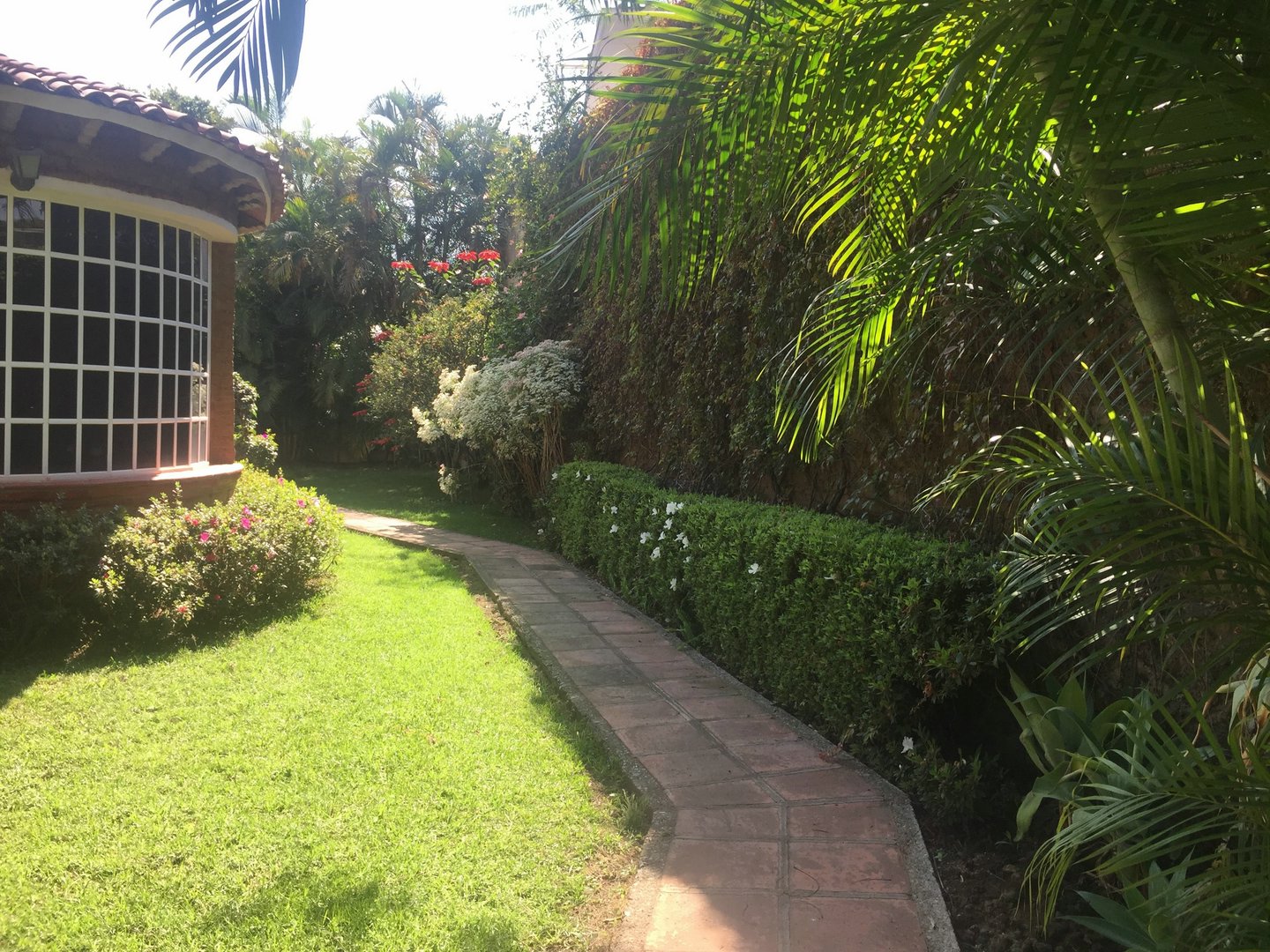 Sra. Medellin.com