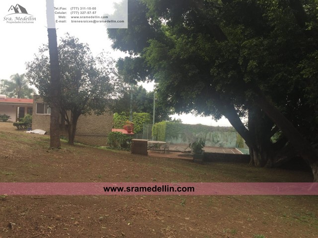 Sra. Medellin.com