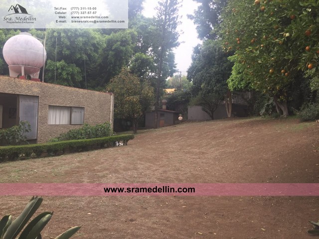 Sra. Medellin.com