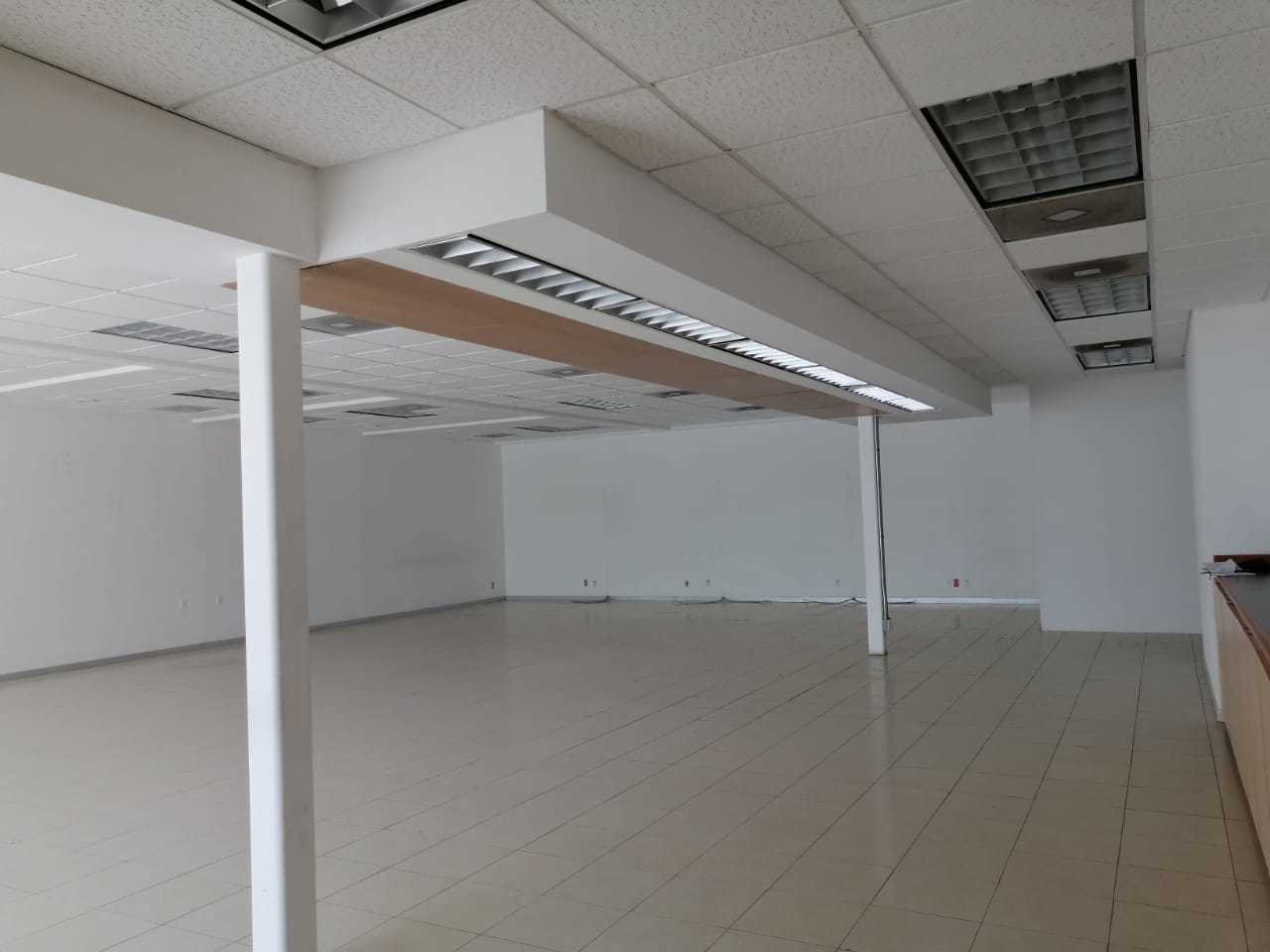 Sra. Medellin.com