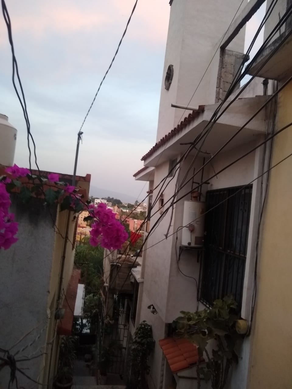Sra. Medellin.com