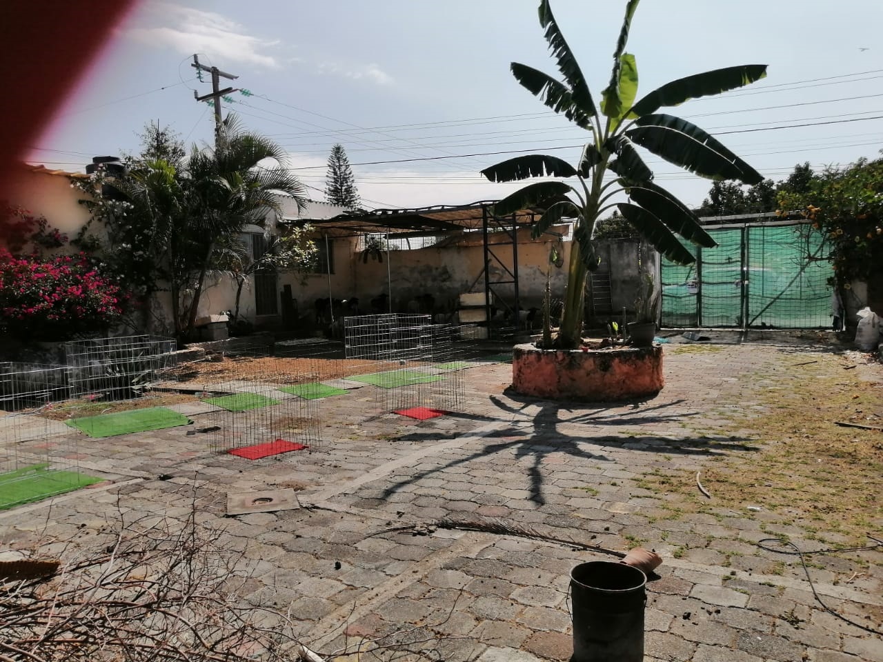 Sra. Medellin.com
