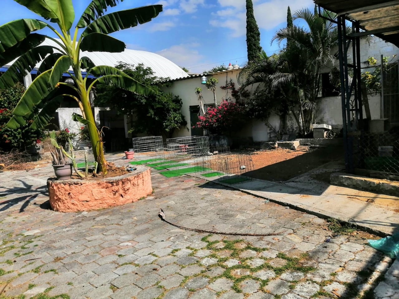 Sra. Medellin.com