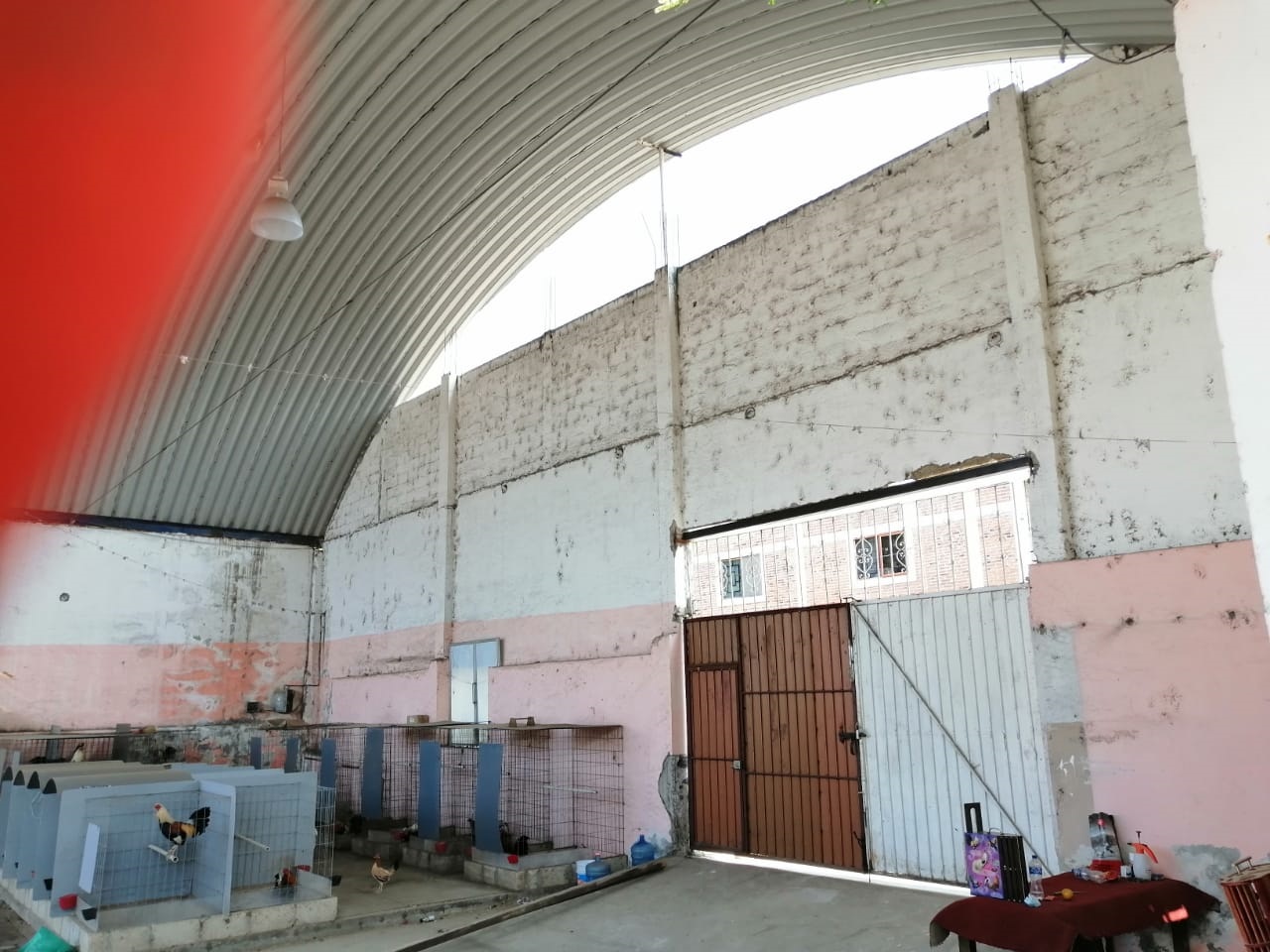 Sra. Medellin.com