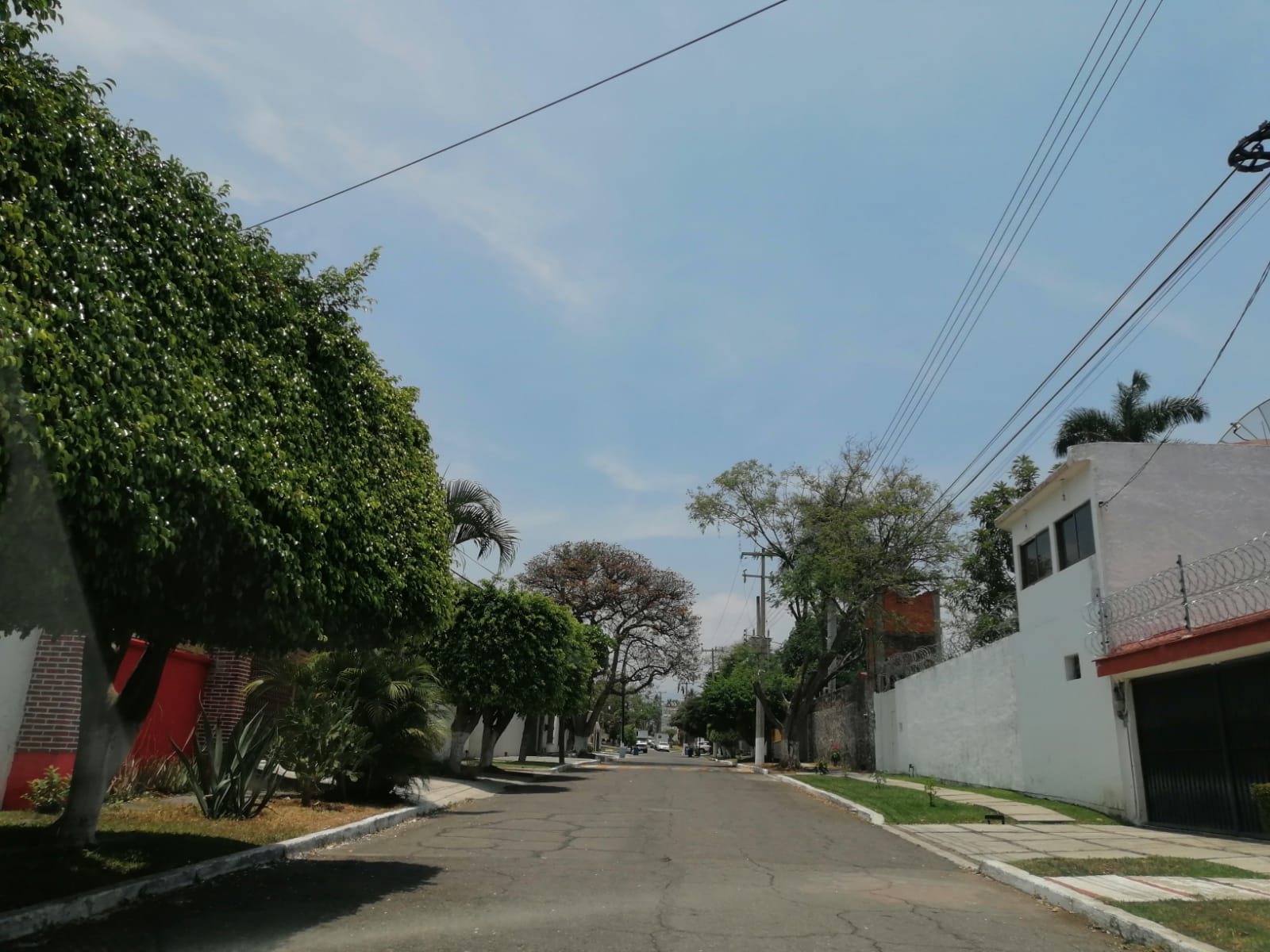 Sra. Medellin.com