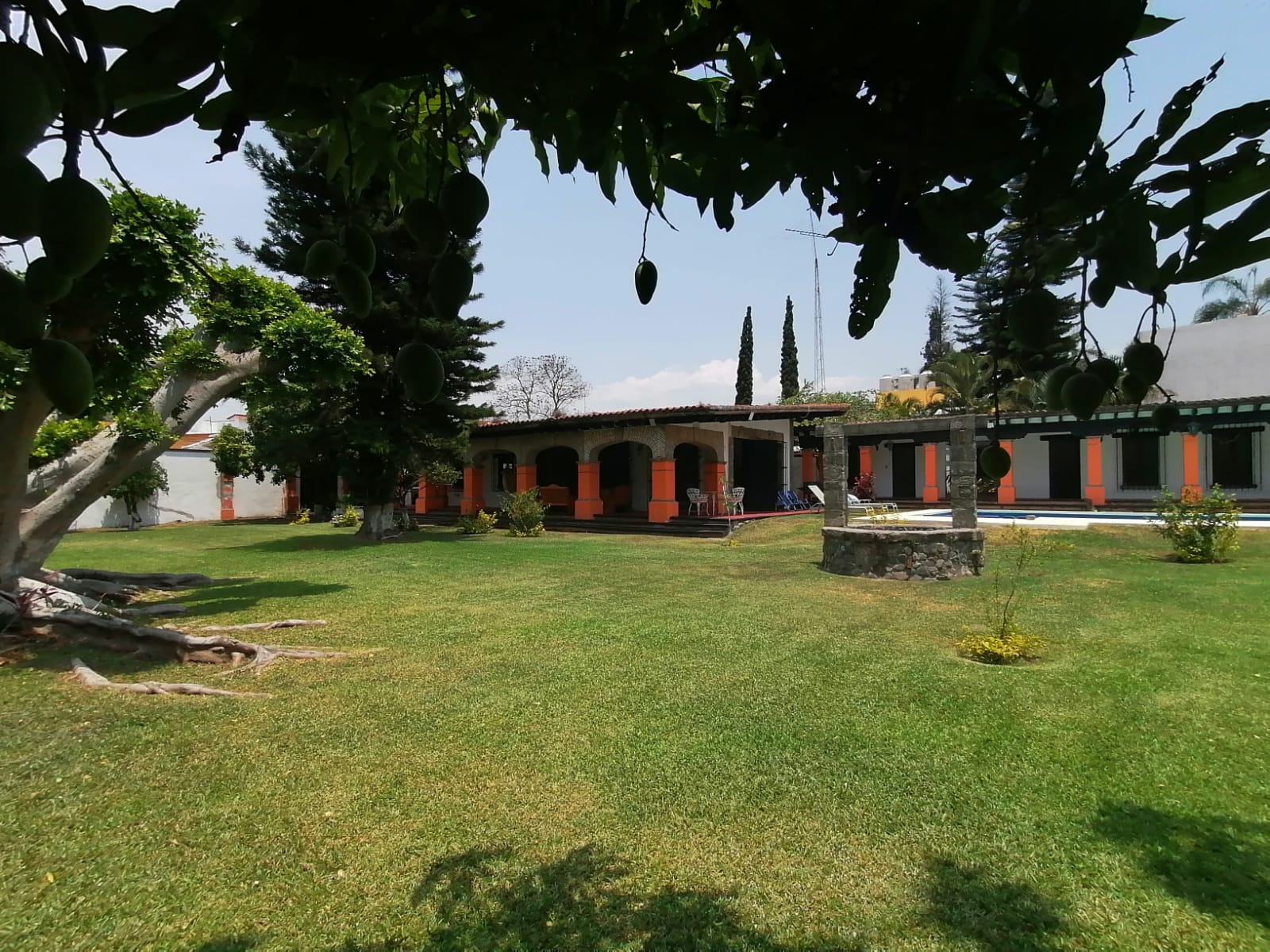 Sra. Medellin.com
