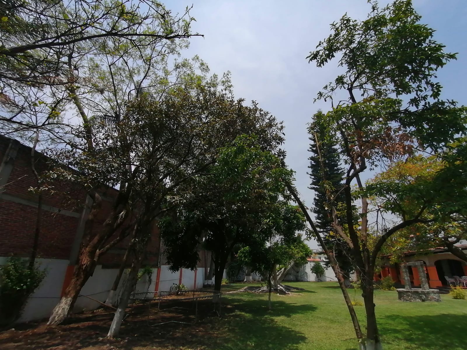 Sra. Medellin.com
